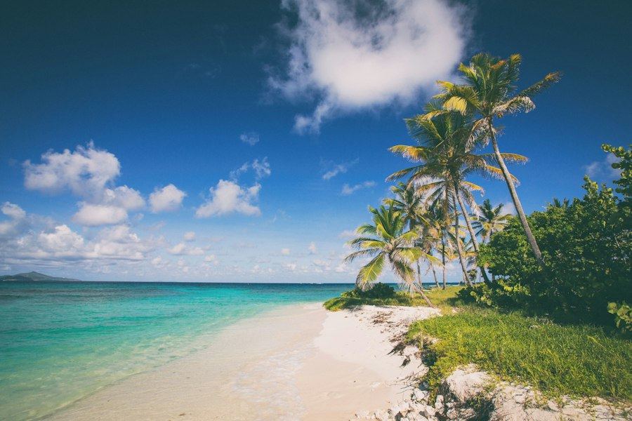 Playa caribeña con palmeras y agua turquesa